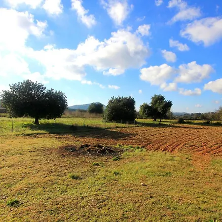 Cozy Home In Algaida With Outdoor Swimming Pool * Algaida (Mallorca)